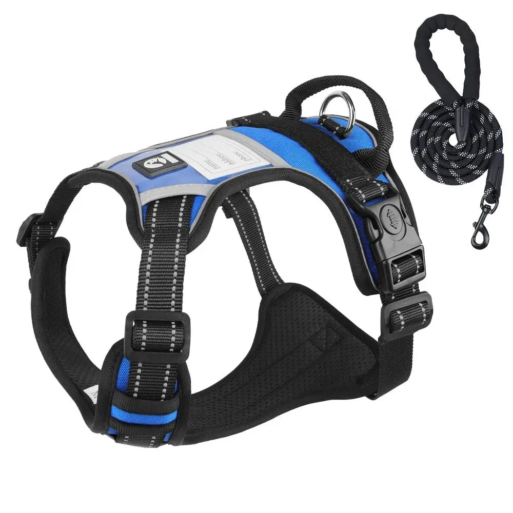 Durable Dog Leash and Reflective Harness