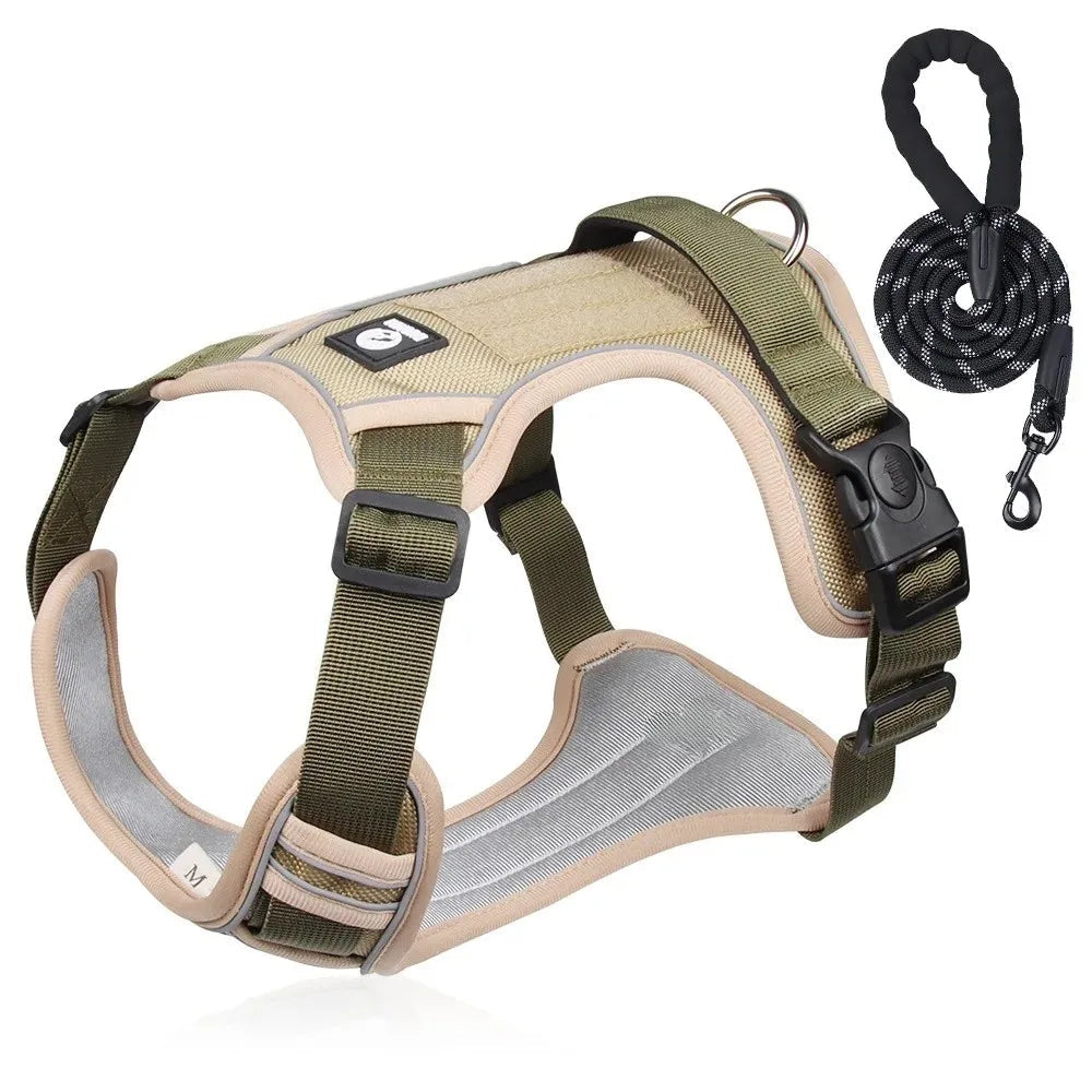 Durable Dog Leash and Reflective Harness