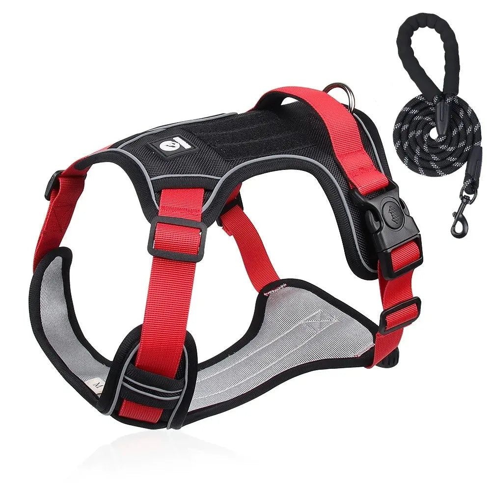 Durable Dog Leash and Reflective Harness