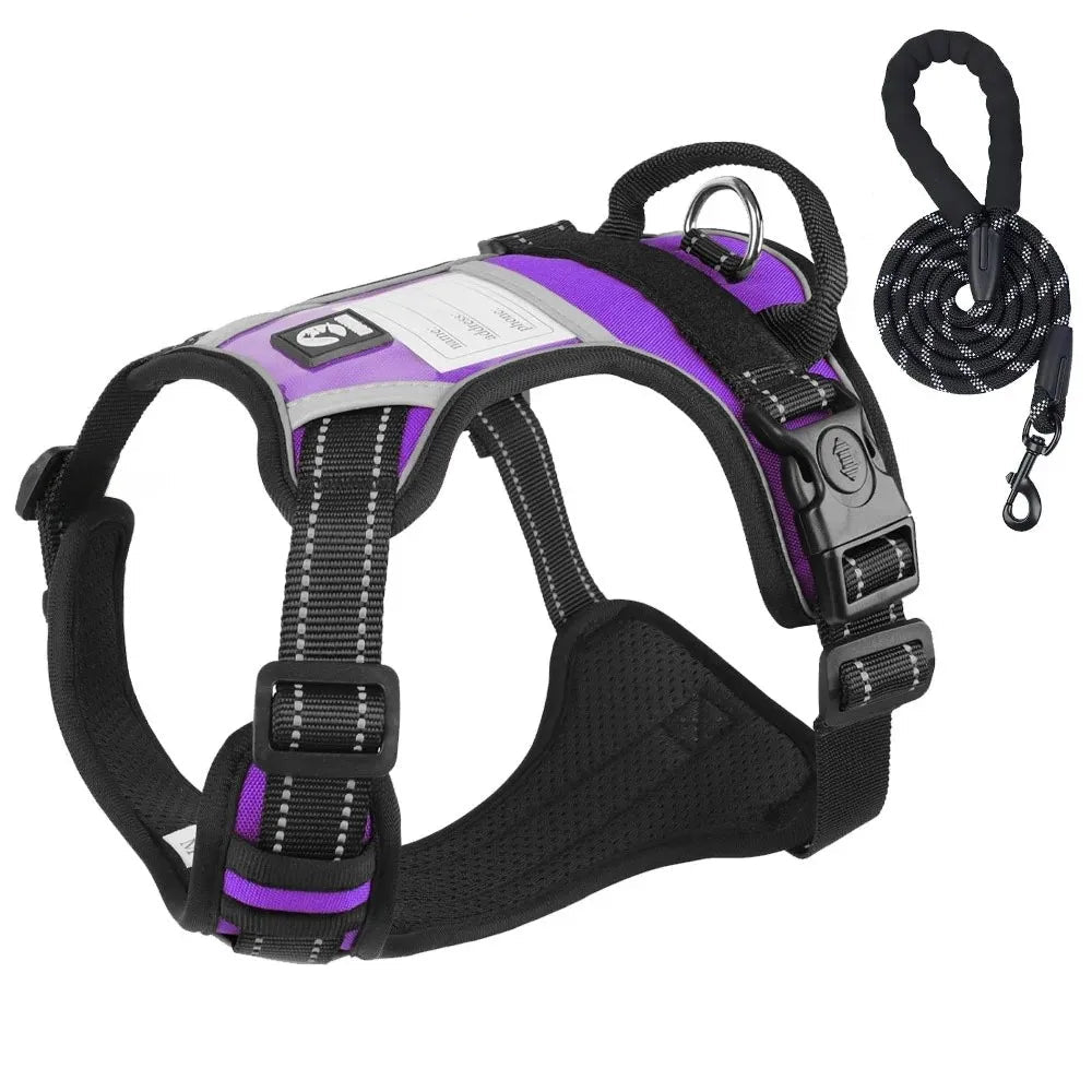 Durable Dog Leash and Reflective Harness