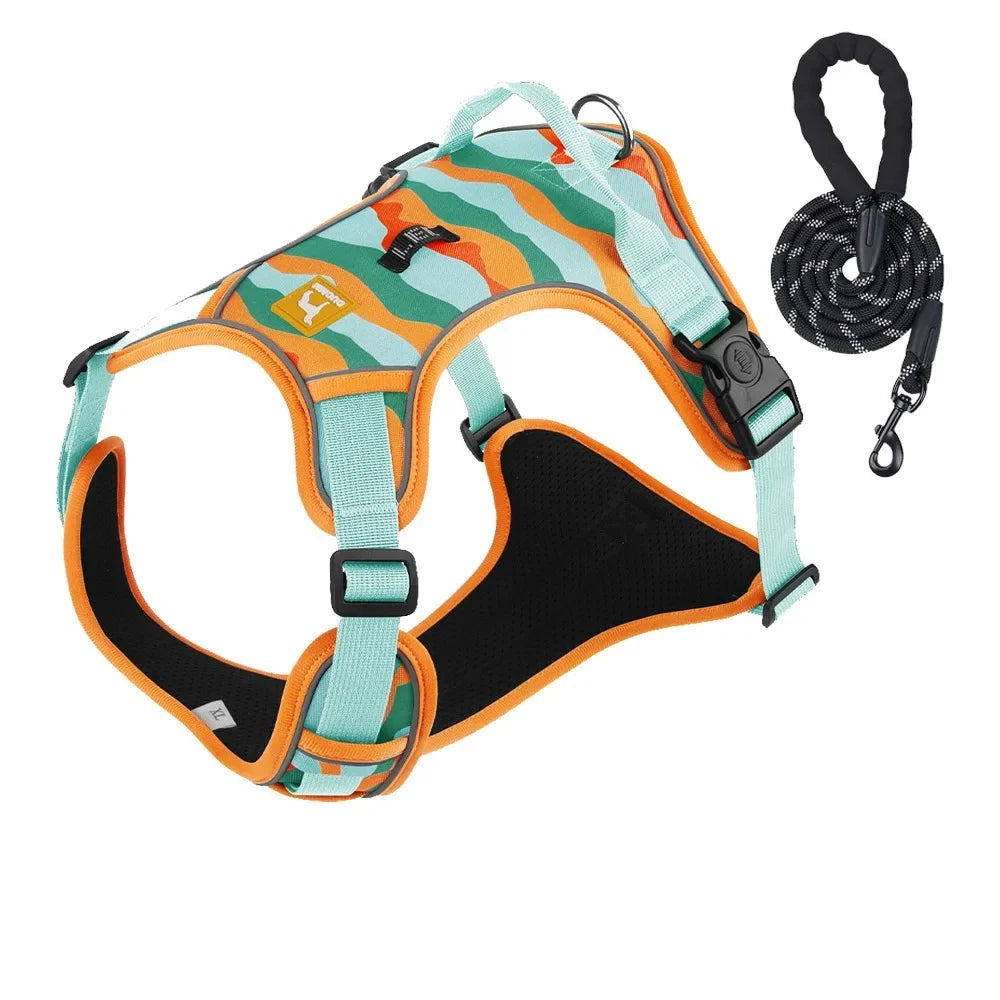 Durable Dog Leash and Reflective Harness