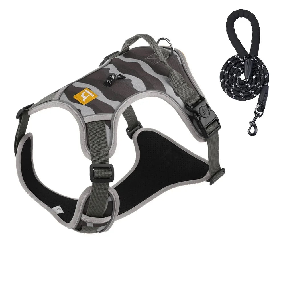 Durable Dog Leash and Reflective Harness