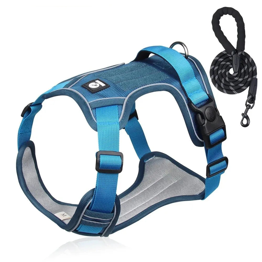 Durable Dog Leash and Reflective Harness