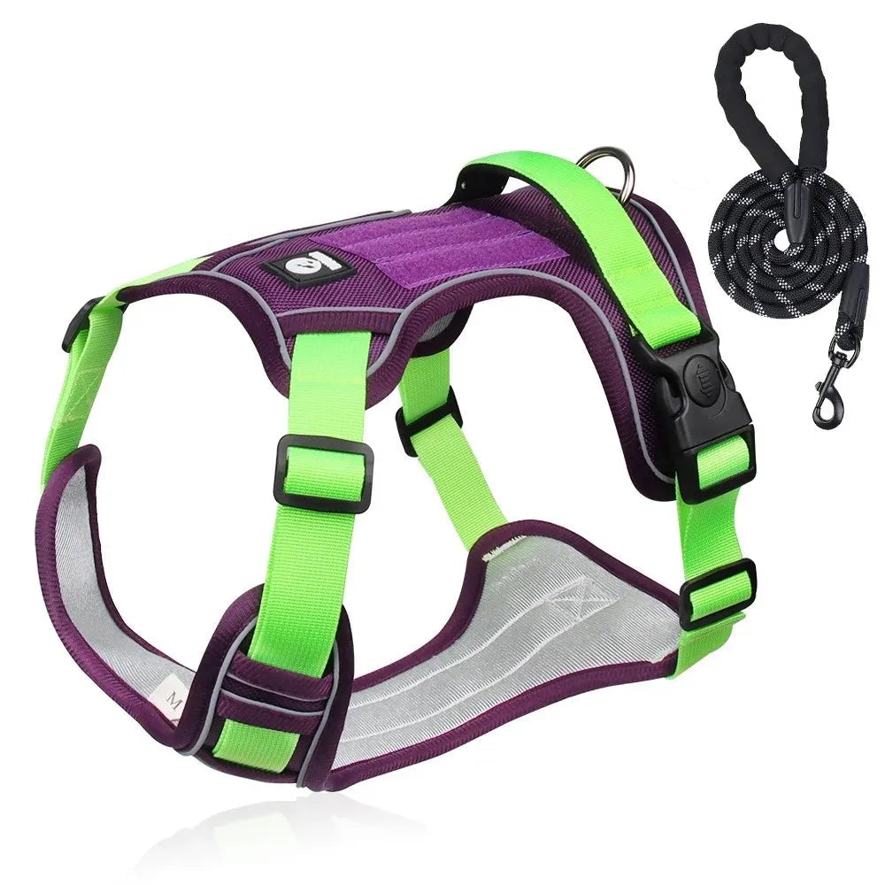 Durable Dog Leash and Reflective Harness