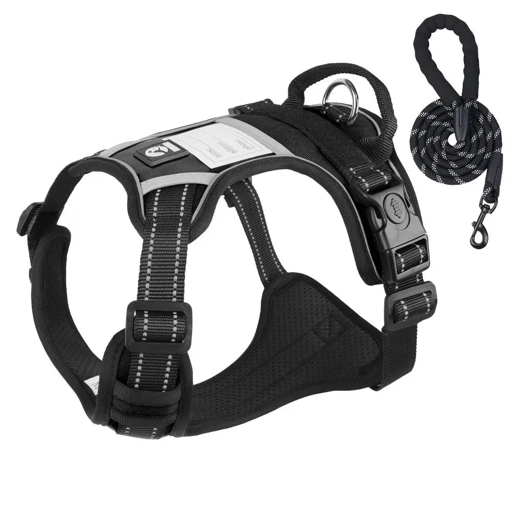 Durable Dog Leash and Reflective Harness